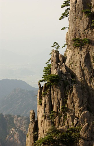 trees on cliffs, China by Jerrold